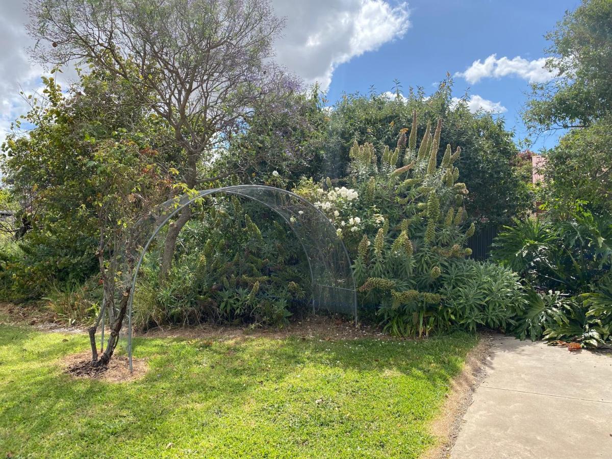 فيلا Para House, Tanunda. In The Heart Of The Barossa Valley!. المظهر الخارجي الصورة